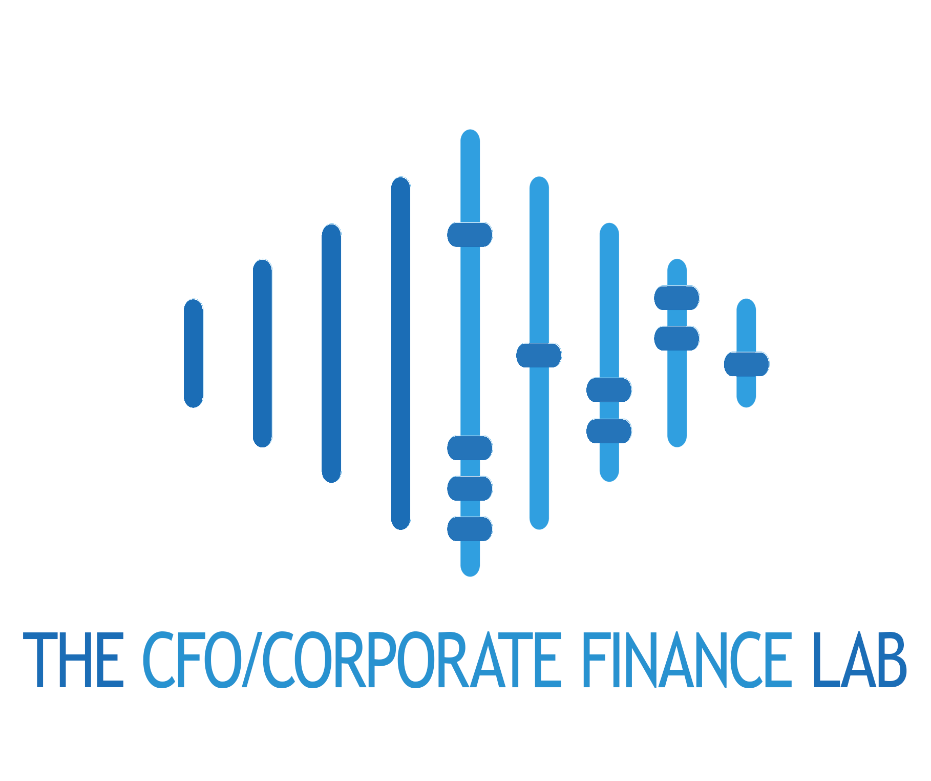 The CFO Lab™
